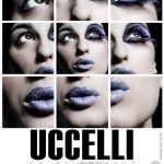 Uccelli, spettacolo teatrale, nuova accademia degli Arrischianti di Sarteano